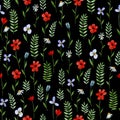 Watercolor seamless pattern. simple wild flowers, poppies and herbs on a black background. modern print with dark background abstr