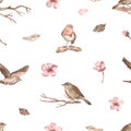 Watercolor seamless pattern with spring birds, flowers, twigs, feathers, spring print