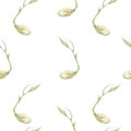 Watercolor seamless pattern sprouting seed on a white background. Drawn by hand for design, clipart, book, poster and Royalty Free Stock Photo