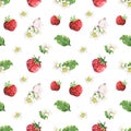 Strawberry and butterfly pattern