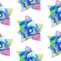 Watercolor seamless pattern with succulent