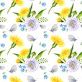 watercolor seamless pattern with summer field flowers, hand draw illustration of yellow dandelions and blow balls Royalty Free Stock Photo