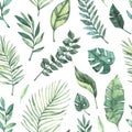 Watercolor seamless pattern. Summer tropical background. Tropical palm leaves monstera, areca, fan, banana. Perfect for Royalty Free Stock Photo