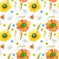 Watercolor seamless pattern with sunflowers, daisies, wheat and flowers, autumn illustration Royalty Free Stock Photo