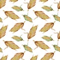 Watercolor seamless pattern with sweet corn cobs isolated on white background. Royalty Free Stock Photo