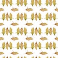 Watercolor seamless pattern with sweet corn cobs isolated on white background.