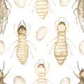 Watercolor Seamless Pattern of termites, insects repeat paper, wild nature paper Royalty Free Stock Photo