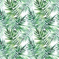Watercolor seamless pattern with tropical leafs. Exotic fresh pattern isolated on white background