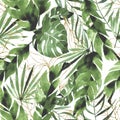 Watercolor seamless pattern with tropical leaves and golden elements. green and gold leaves of palm, monstera, banana isolated on Royalty Free Stock Photo