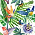 Watercolor seamless pattern tropical leaves, hummingbird and flowers, jungle background. Royalty Free Stock Photo