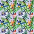 Watercolor seamless pattern tropical leaves, hummingbird and flowers, jungle background.