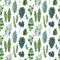 Watercolor seamless pattern with tropical leaves on white background