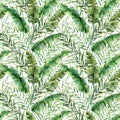 Watercolor seamless pattern with tropical tree leaves. Hand painted banana and coconut greenery exotic branch on white