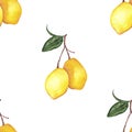 Watercolor Seamless Pattern with a Two Lemons Branch and Green Leaves Royalty Free Stock Photo