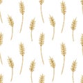 Watercolor seamless pattern with vintage embroidery ears of wheat isolated on white background. Needlework collection.