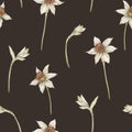 Watercolor seamless pattern with vintage illustrations of narcissus flowers isolated on dark. Spring collection.