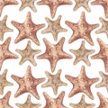 Watercolor seamless pattern with vintage red starfishes isolated on white background. Marine collection. Royalty Free Stock Photo