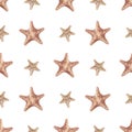 Watercolor seamless pattern with vintage red starfishes isolated on white background. Marine collection. Royalty Free Stock Photo