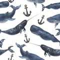 Watercolor seamless pattern with whales and anchor. Illustration with blue whales, cachalot and narwhal isolated on white