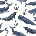 Watercolor seamless pattern with whales and anchor. Illustration with blue whales, cachalot and narwhal isolated on