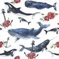 Watercolor seamless pattern with whales and anchor, peony flower Royalty Free Stock Photo