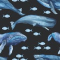 Watercolor seamless pattern with whales, jellyfish, sperm whale, narwhal.