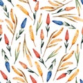 Watercolor seamless pattern with wheat sprouts and colored flowers