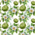 Watercolor seamless pattern with white flowers and green apples.