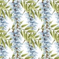 Watercolor seamless pattern of white wisteria flowers and green leaves. Hand drawn floral Illustration