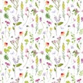 Watercolor seamless pattern with wildflowers and grass with bumble bees and butterflies. Hand drawn floral background. Royalty Free Stock Photo
