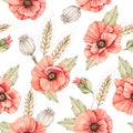 Watercolor seamless pattern with wild poppy flowers. Red flowers clipart. Background with wheats, poppies, green leaves, branches