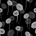 Watercolor seamless pattern of wild small summer gray flowers on the black background