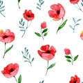 watercolor seamless pattern with wildflowers. red and yellow poppies on a white background, abstract print Royalty Free Stock Photo
