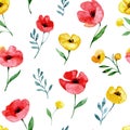 watercolor seamless pattern with wildflowers. red and yellow poppies on a white background, abstract print Royalty Free Stock Photo