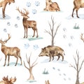 Watercolor seamless pattern with winter forest, bare trees, forest animals, elk, deer, boar, animal footprints in the snow on a