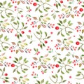 Watercolor seamless pattern withs red berries, green leaves.. Hand drawing floral illustration Royalty Free Stock Photo