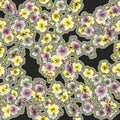 Yellow pink gray flowers on black background pattern seamless watercolor Royalty Free Stock Photo