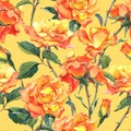 Watercolor Seamless Pattern with Yellow Roses Royalty Free Stock Photo