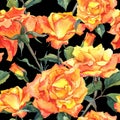 Watercolor Seamless Pattern with Yellow Roses Royalty Free Stock Photo