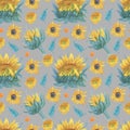 Watercolor seamless pattern with yellow sunflowers on a gray background. Autumn and botanical hand painted print Royalty Free Stock Photo
