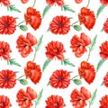Watercolor seamless patterns, floral design on a white background, hand drawing, colorful poppies Royalty Free Stock Photo