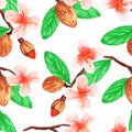 Watercolor vegetable 3 seamless pattern of the branches nuts almonds for decoration design flowers leaves background is isolated Royalty Free Stock Photo