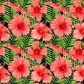 Watercolor seamless tropical floral pattern. Red hibiscus and palm leaves on black background. Hand drawn watercolor seamless Royalty Free Stock Photo
