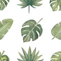 Watercolor seamless tropical leaves pattern. Foliage digital paper. Exotic floral wrapping paper.Monstera leaf, banana leaves