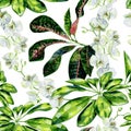 Watercolor seamless tropical pattern of schefflera, croton and white orchids flowers.