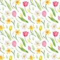 Watercolor seamless tulip and daffodil pattern. Spring background. Easter, Mother`s Day and Women`s day background