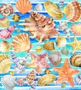 Watercolor Seashell. Seashell on watercolor blue background.