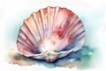 Watercolor seashell on a white background. Hand-drawn illustration