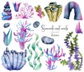 Watercolor seaweeds and sea stones colllection Royalty Free Stock Photo