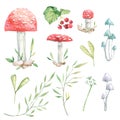 Watercolor set autumn forest elements mushrooms, leaves, berries. Greenery floral.